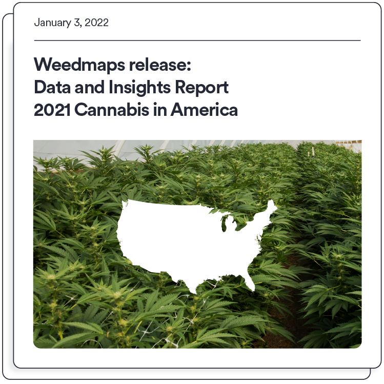 cannabis in america