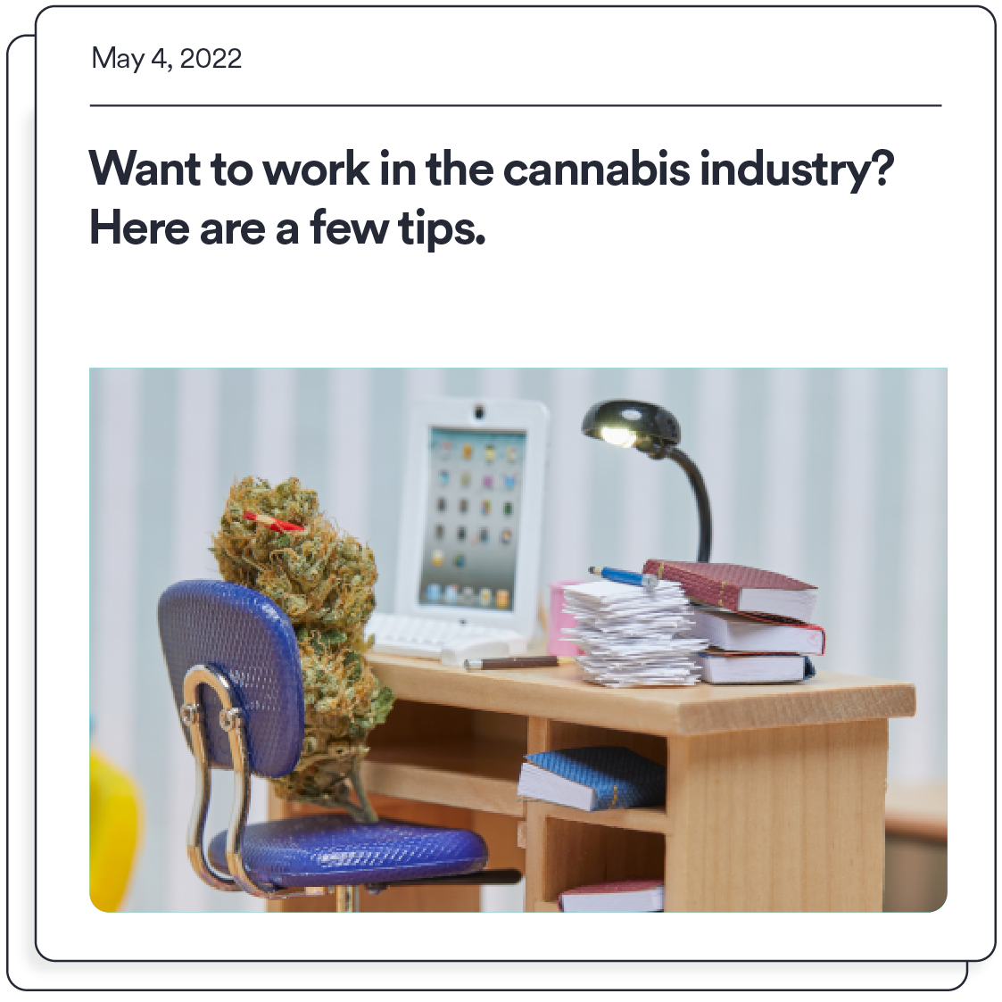 Tips for Working in the Cannabis Industry